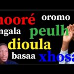 L’Origine des Langues Africaines ? Vous Ne le Croirez JAMAIS